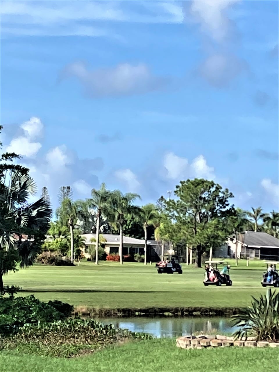 Golf area 