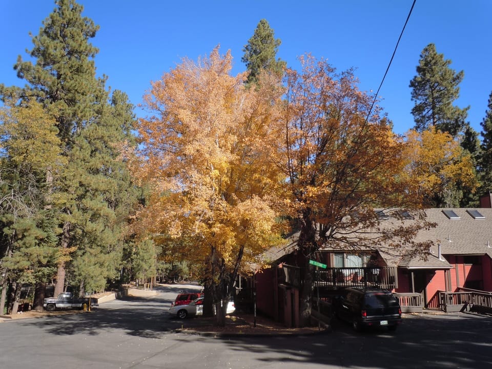 Fall at Escape For All Seasons
