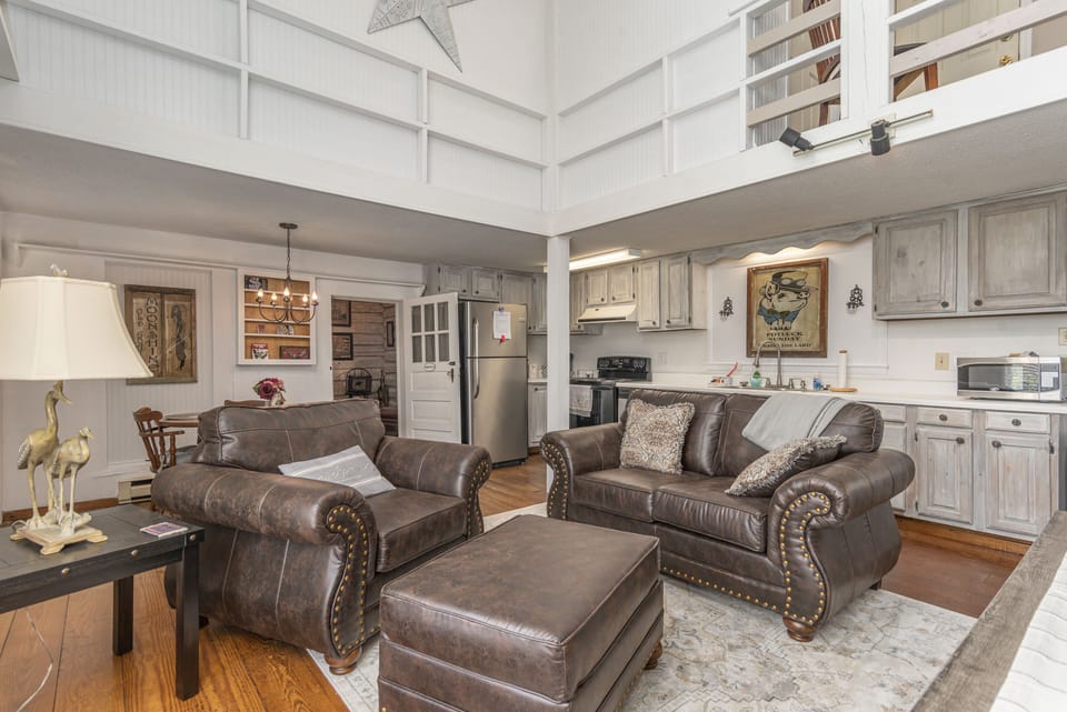 Lower level living area