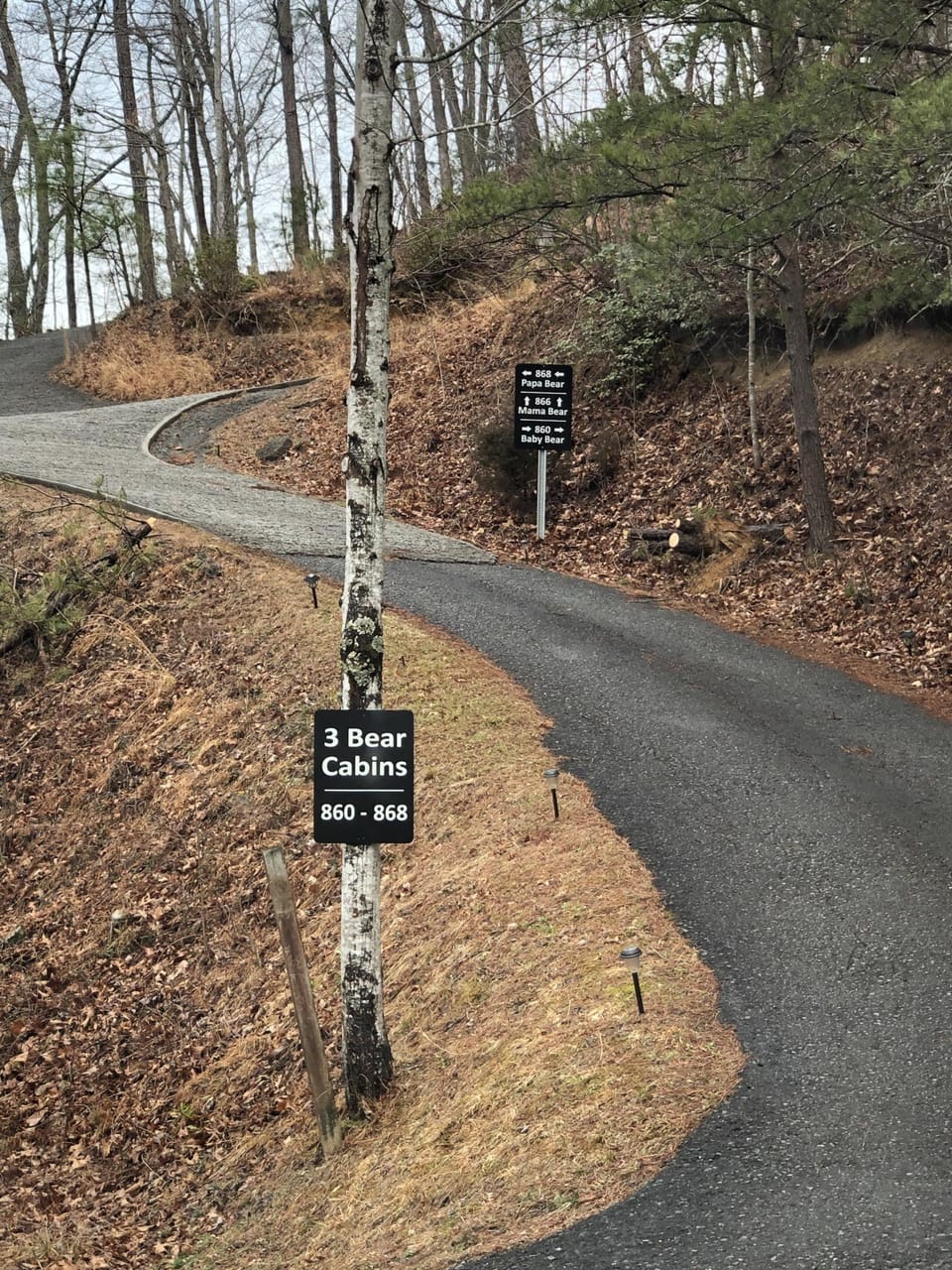 driveway up to the cabin