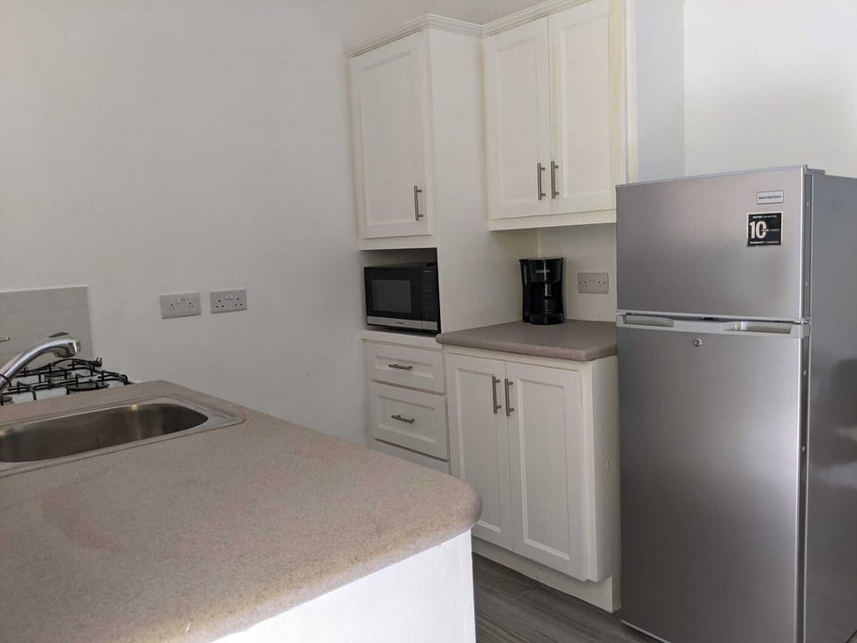 Full kitchen with new fridge and microwave