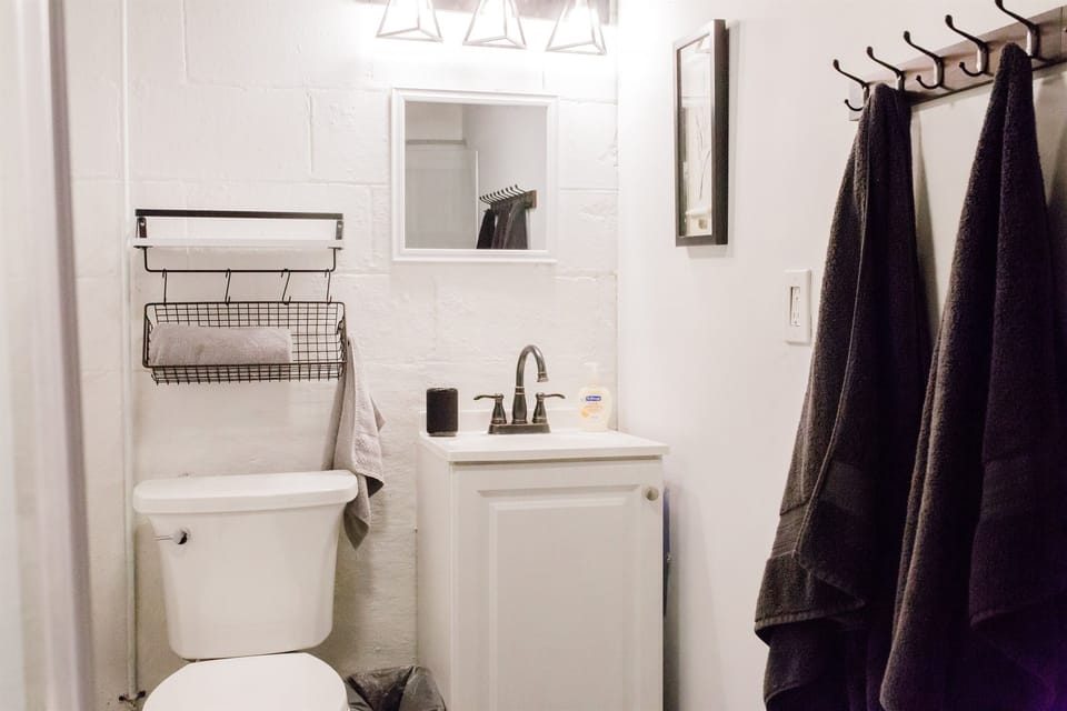 Bathroom #2 (Basement): This newly added bathroom has a gorgeous barnyard door.