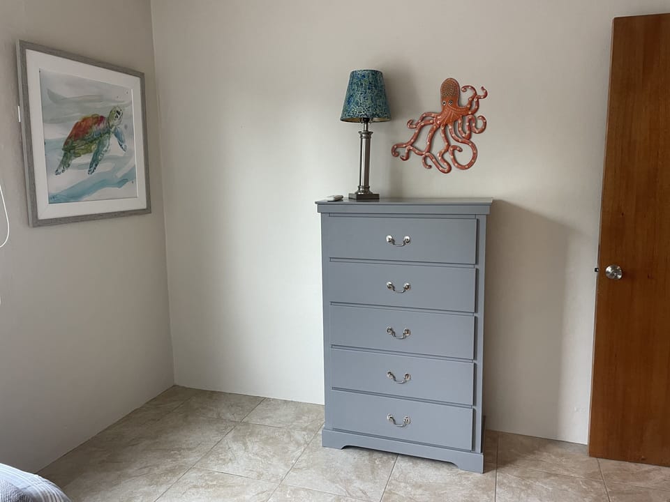 Main level twin bedroom