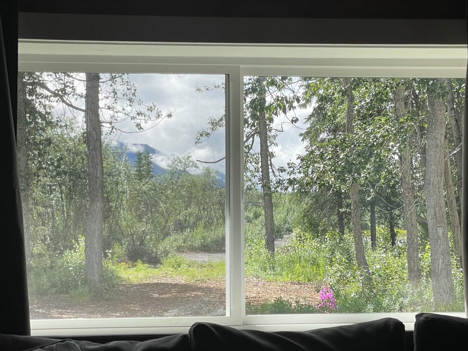 View from living room in summer. 