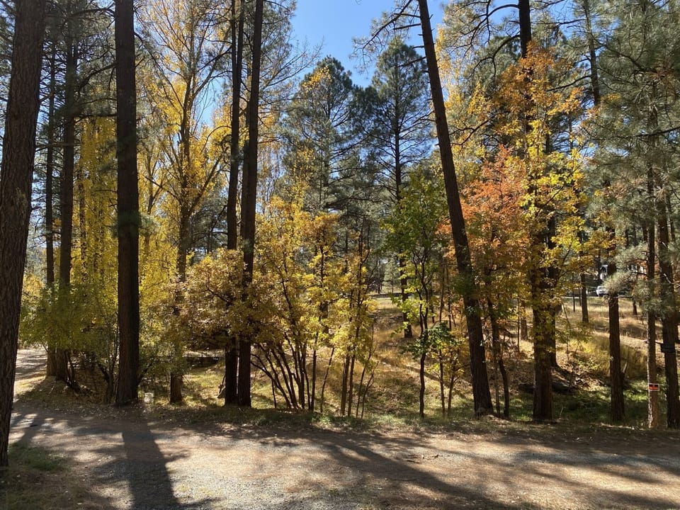 Fall season (October)