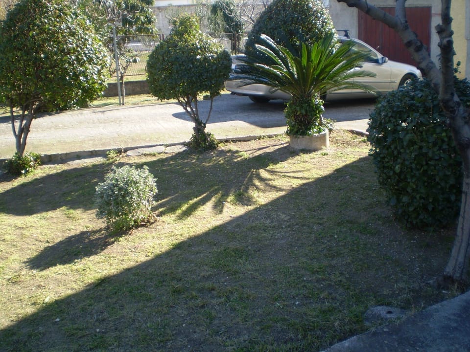 Apartment (Three Bedroom Apartment with Terrace ) | Garden