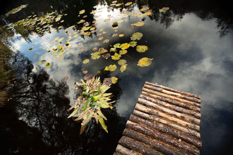 Cottage | Miscellaneous