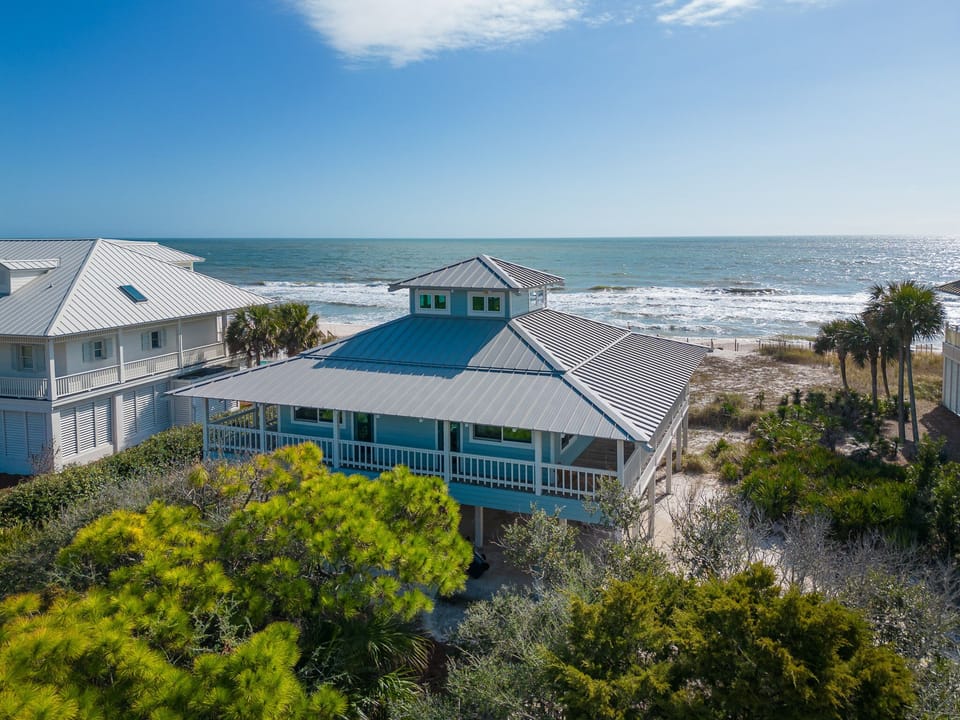 Porpoise in Mind Cape and Coast