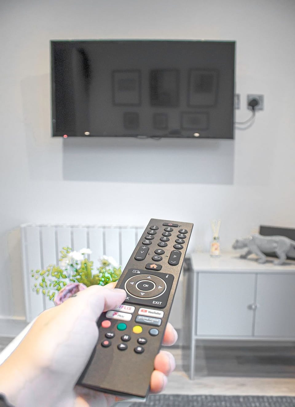 Television