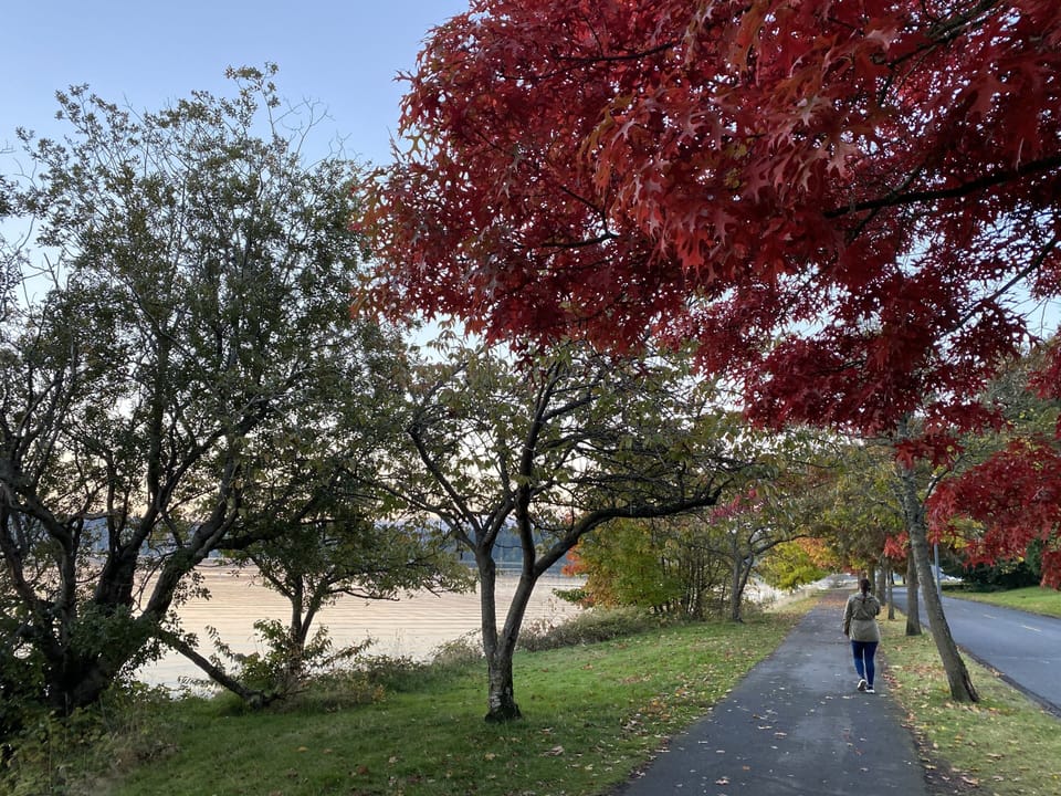 Lake Washington Blvd is a great place to walk or bike. Miles of lake trails. 