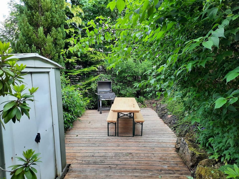 Garden [summer]