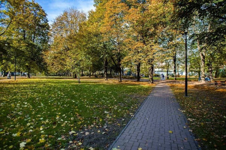 A quiet park scene with a walking path bordered by trees and grass. The area exudes a calm and serene atmosphere, ideal for relaxation.
