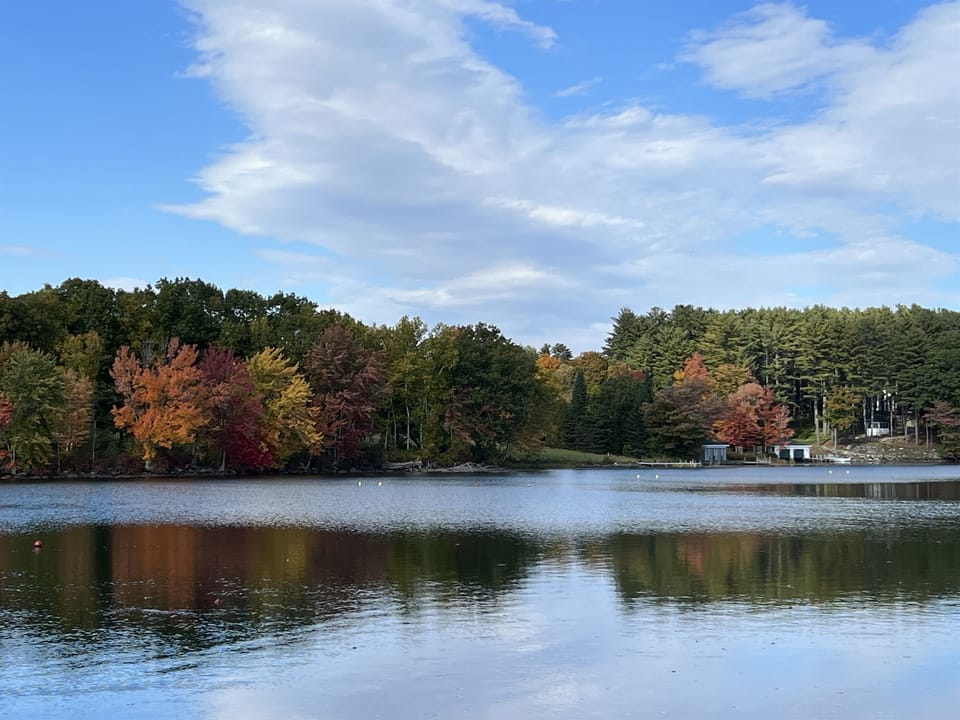 Fall Foliage 1 Mile Away