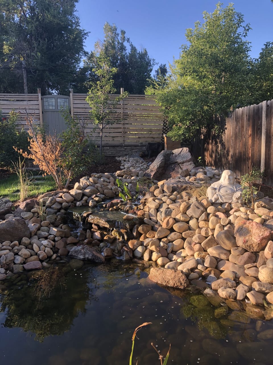 Koi pond- check out Hemmy and Frost when you come visit! Our 15 year old  Koi 