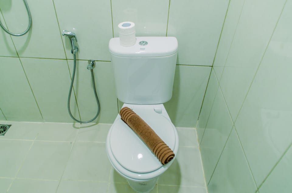 Room | Bathroom | Shower, free toiletries, towels