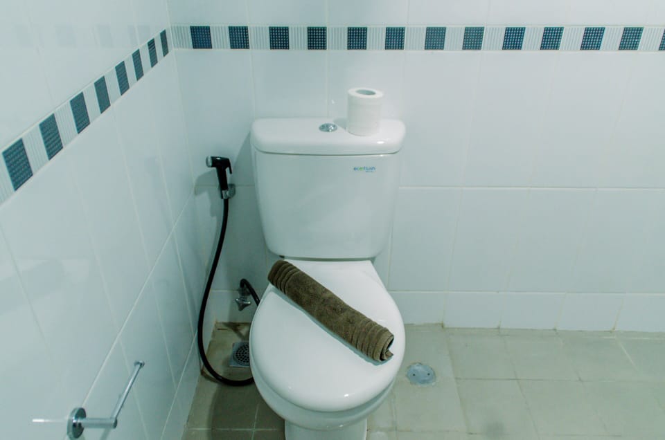 Room | Bathroom | Shower, free toiletries, towels