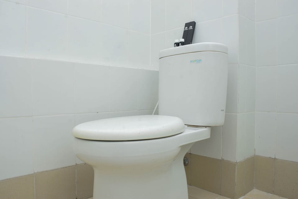 Room | Bathroom | Shower, free toiletries, towels
