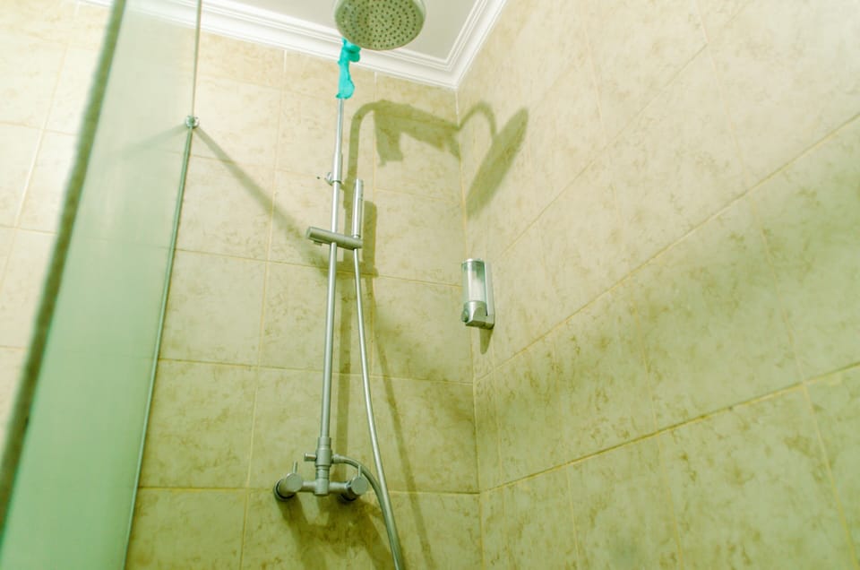 Room | Bathroom | Shower, free toiletries, towels