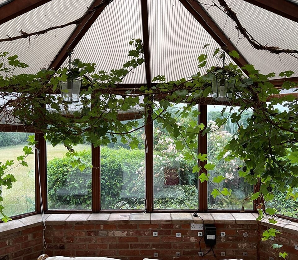 Traditional House | Garden view