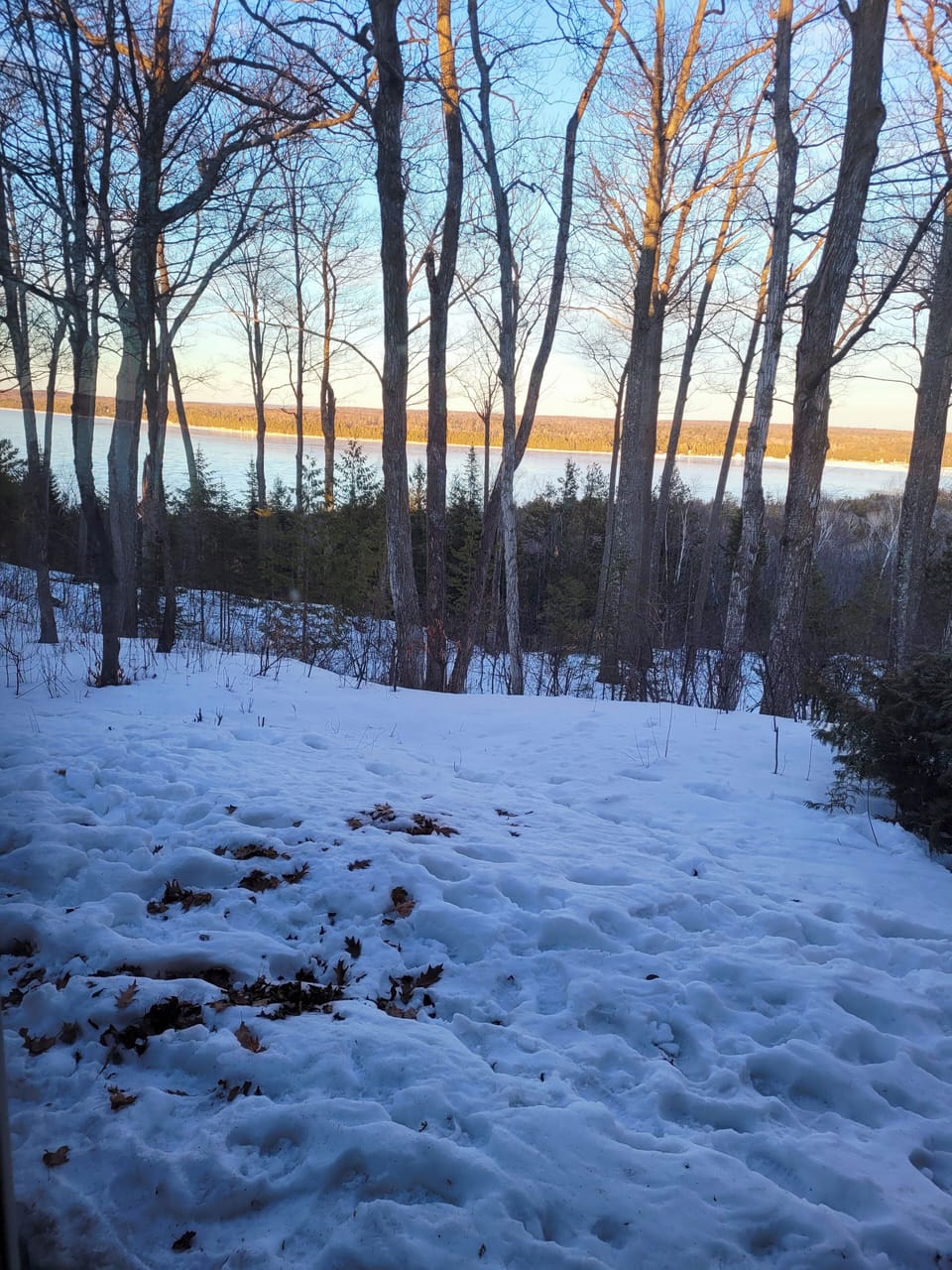 View from the Living Room