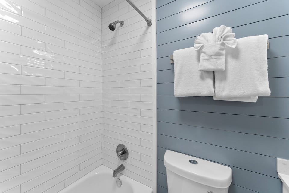 Tub/Shower Combo in Guest Bath