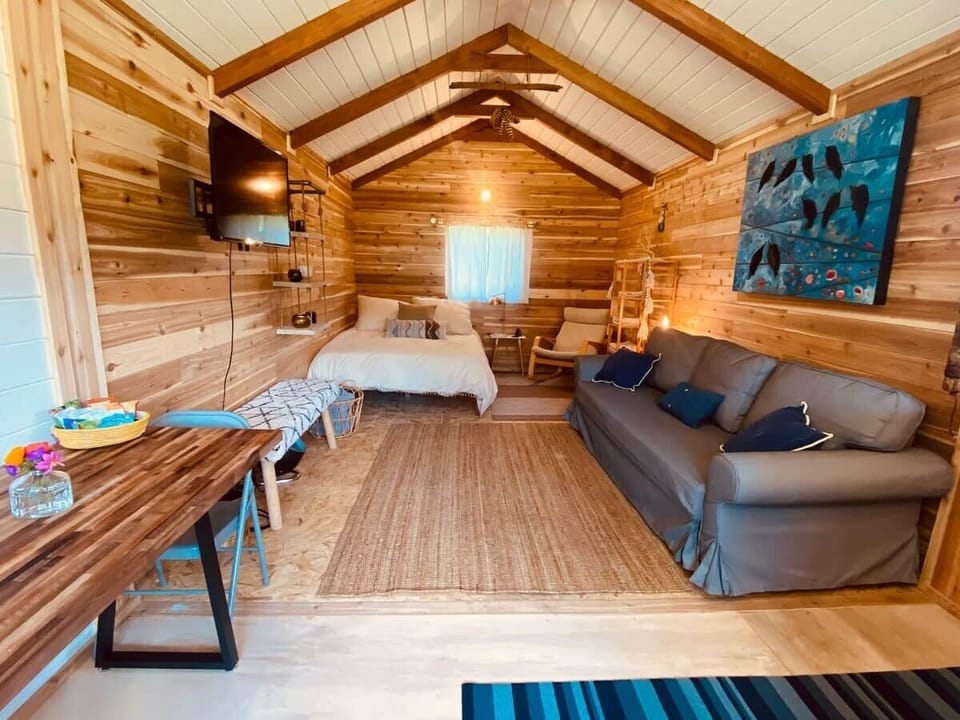 Comfy queen-size bed and a sleeper sofa that folds out to a double bed.  TV with all the apps. 