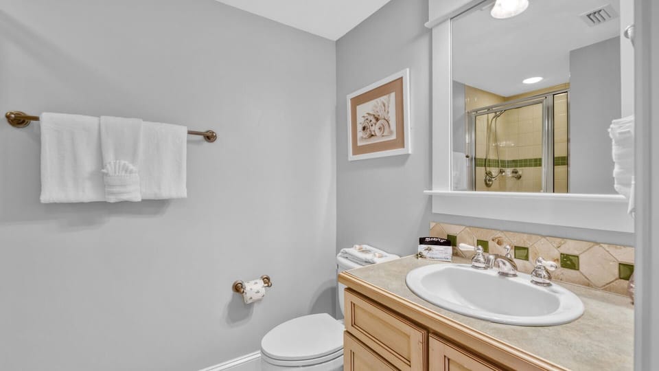 Guest bathroom