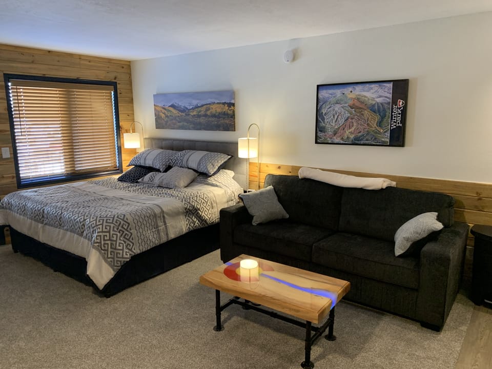Spacious studio condo with king sized bed and queen sized sofa bed