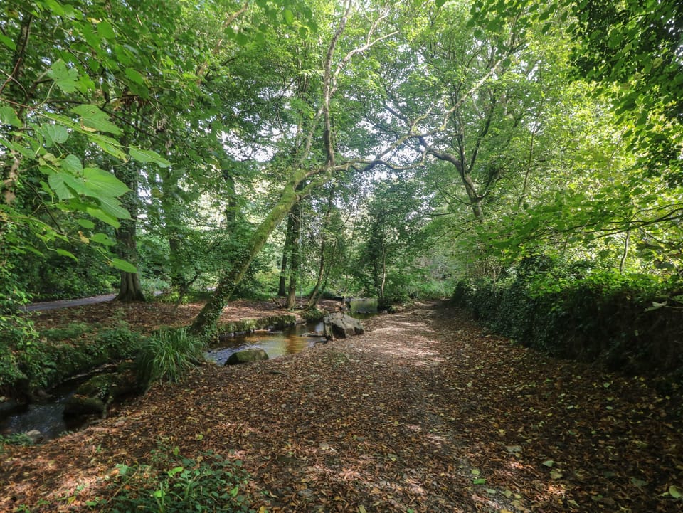 Cottage | Property grounds