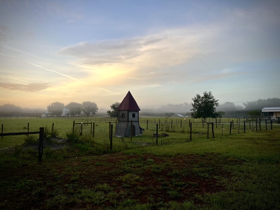 The back view with the goat cottage. 