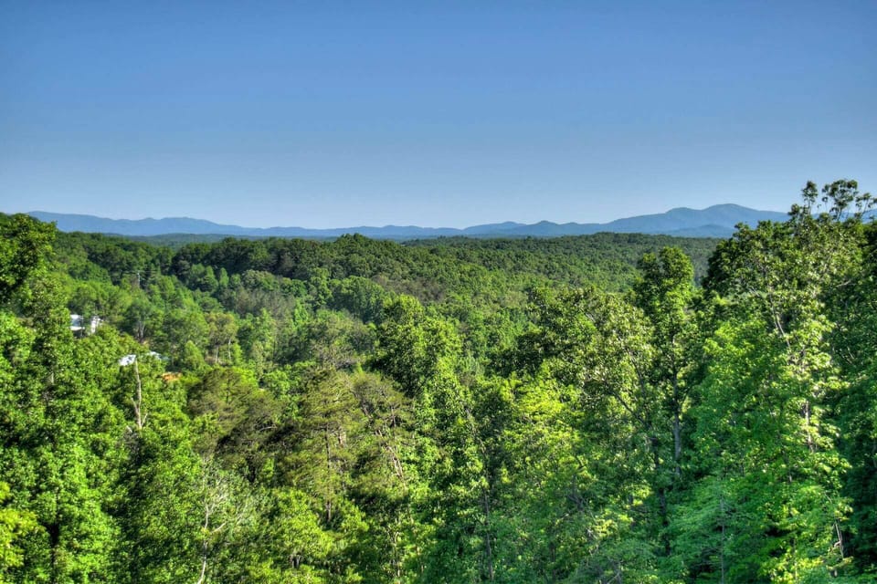 Mountain views from the cabin