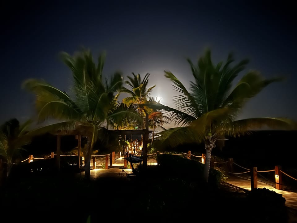 Boardwalk to beach on a full moon rise. 