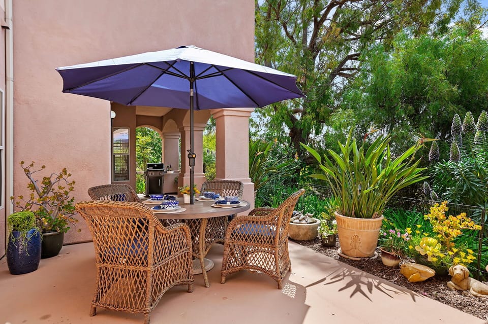 Back terrace
