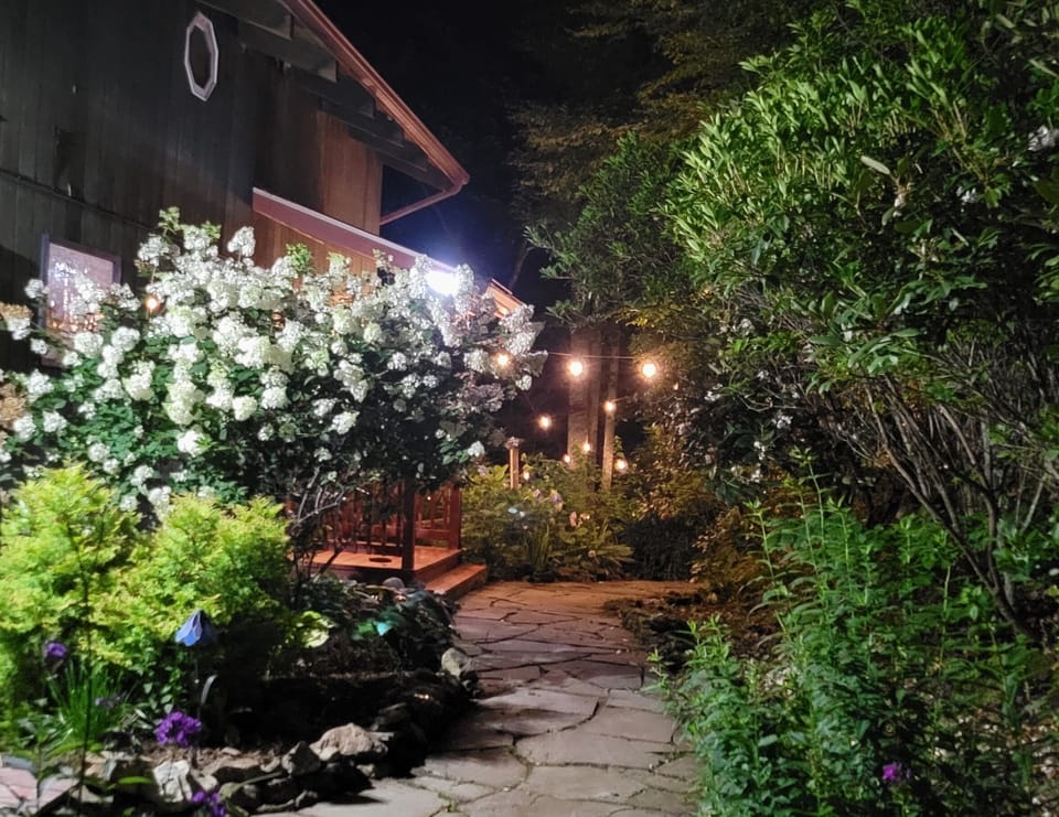 Evening front walkway
