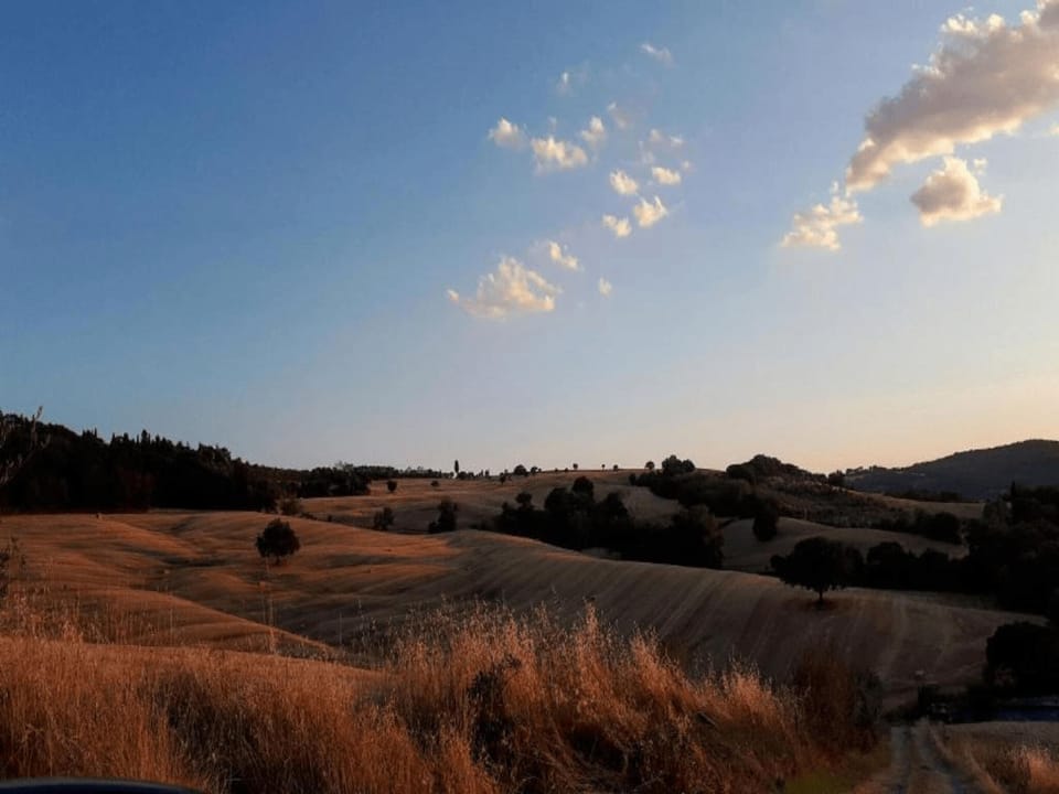 Region [summer] (>5 km)