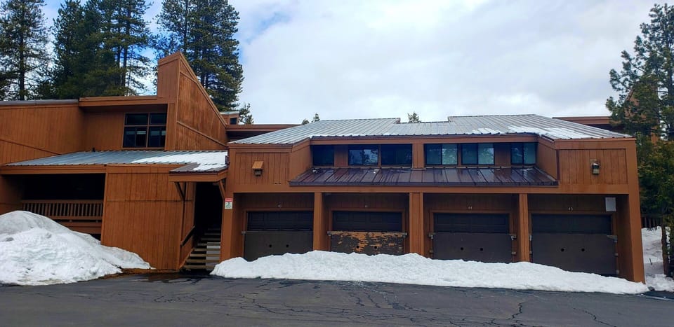 Roof, Building, Hardwood, Architecture, House