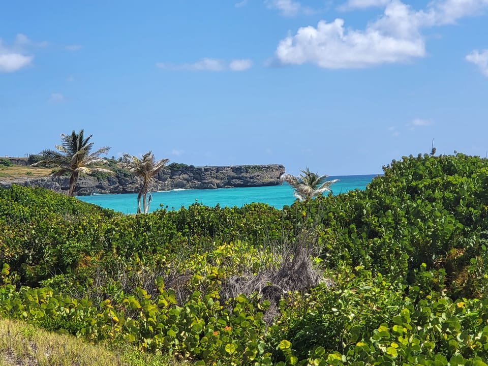 Land, Nature, Outdoors, Sea, Ocean
