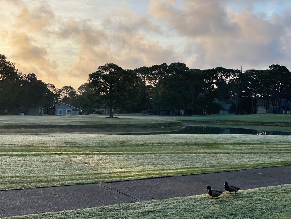 - Wide morning view of the golf course with soft sunrise light - Ducks strolling near the pathway adding natural beauty - Peaceful open scenery perfect for quiet early guest moments