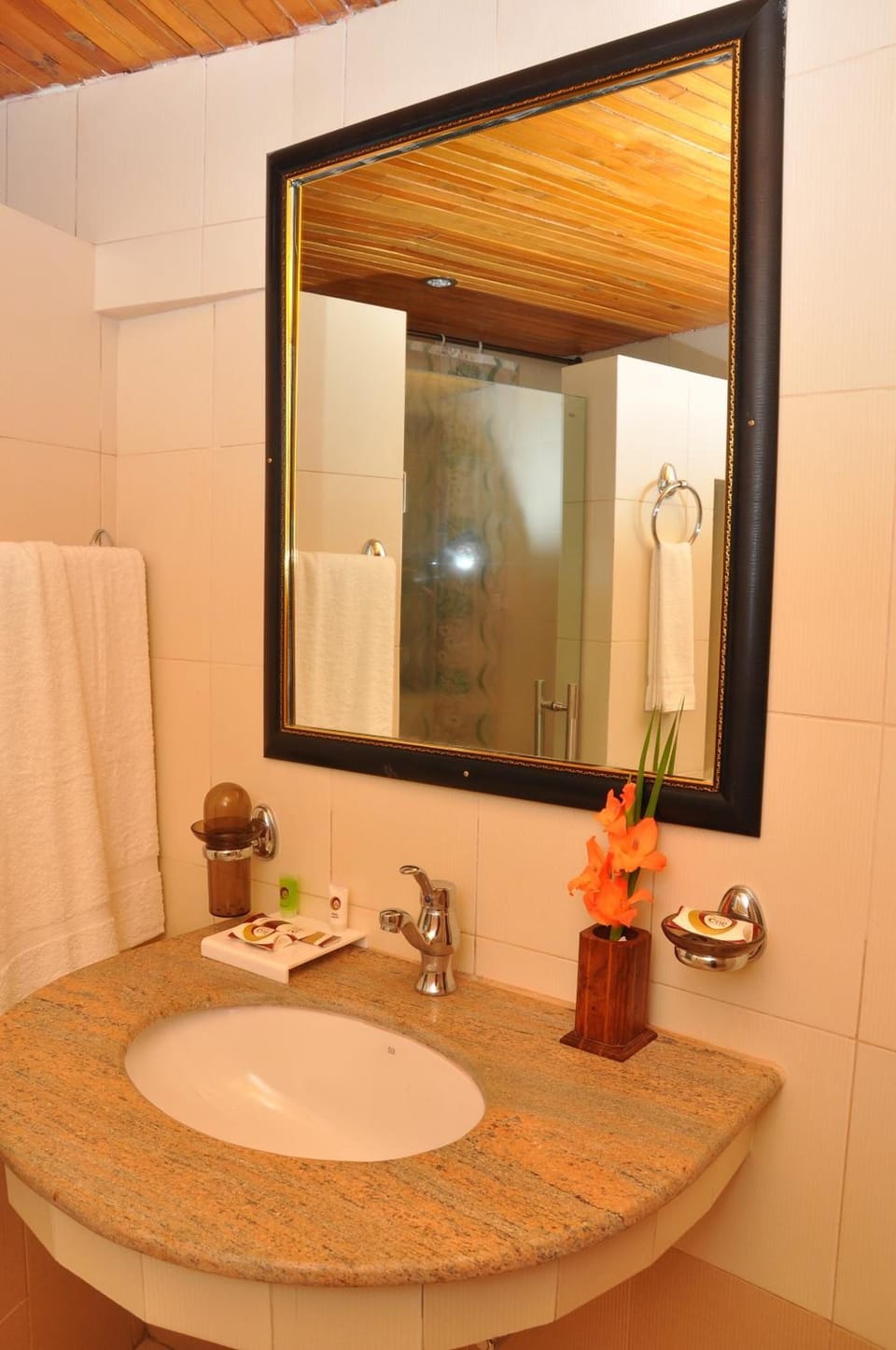 Shower, free toiletries, hair dryer, bathrobes