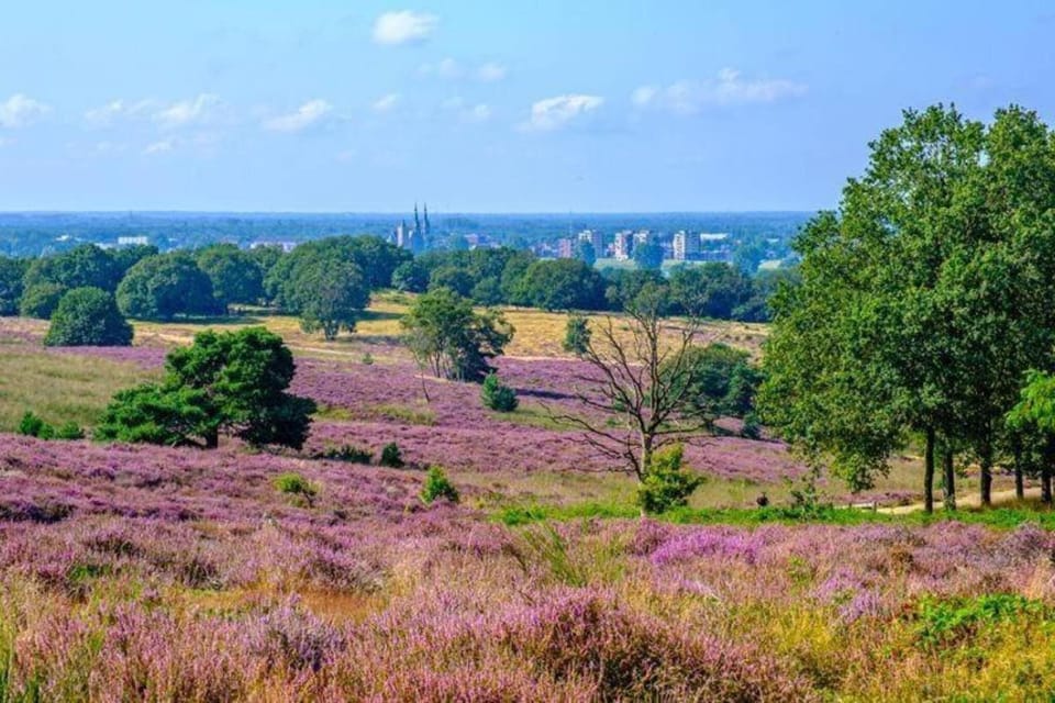 Region [summer] (>5 km)