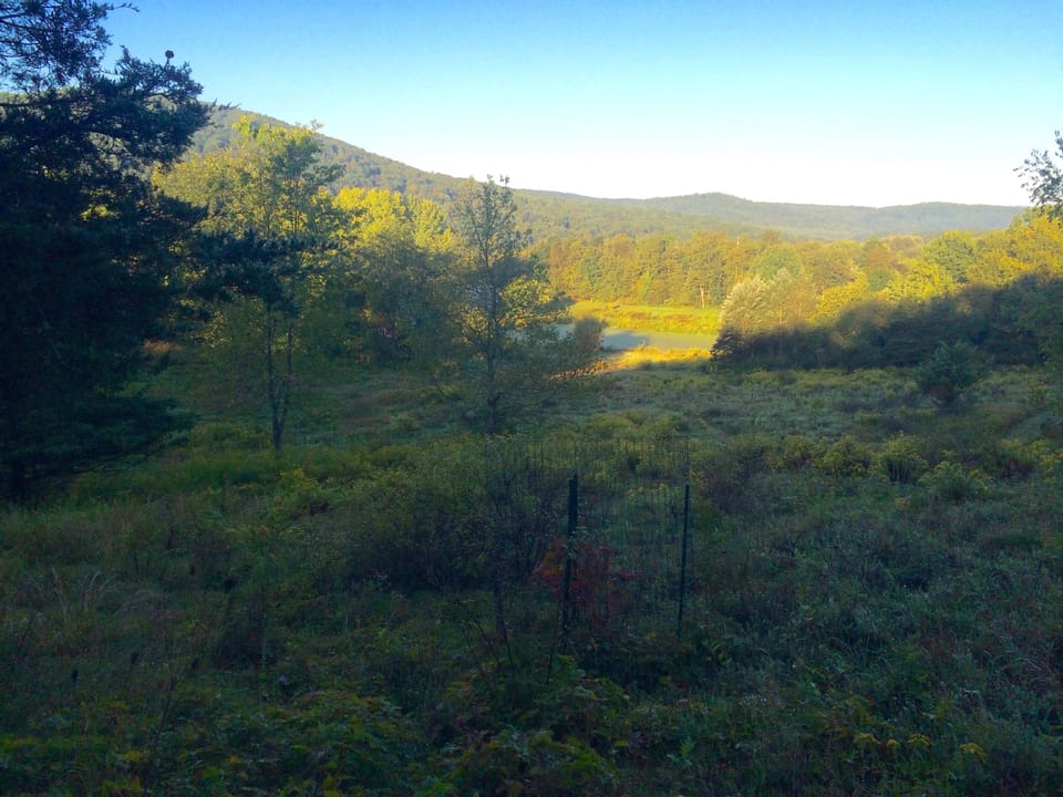 A view from the top corner of our property to give you a sense of the landscape.