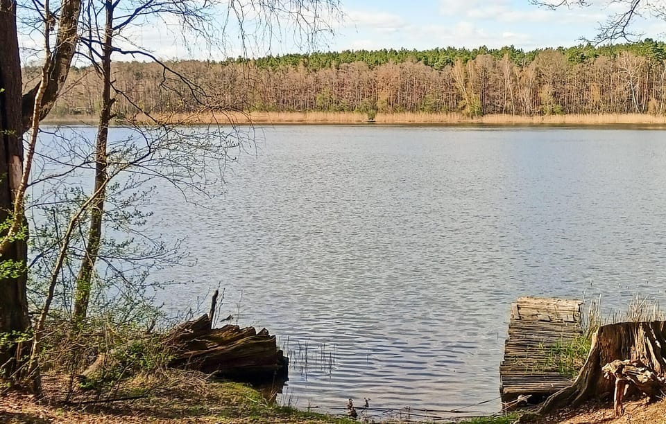 area