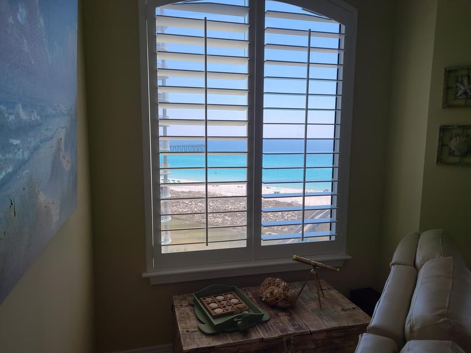 View out window from living room