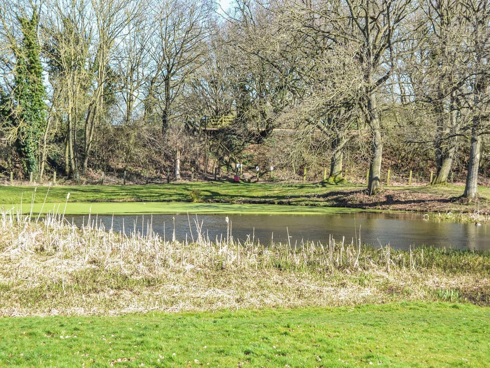 Surrounding area | Lucky Duck Cottage, Coltishall