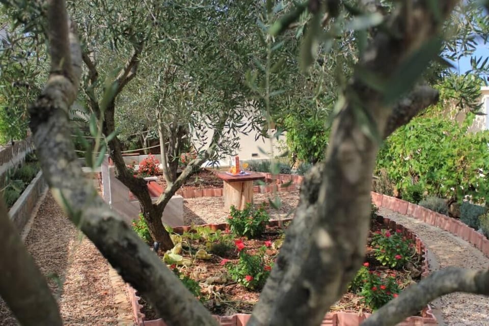 Apartment, 2 Bedrooms, Smoking, Terrace | Garden
