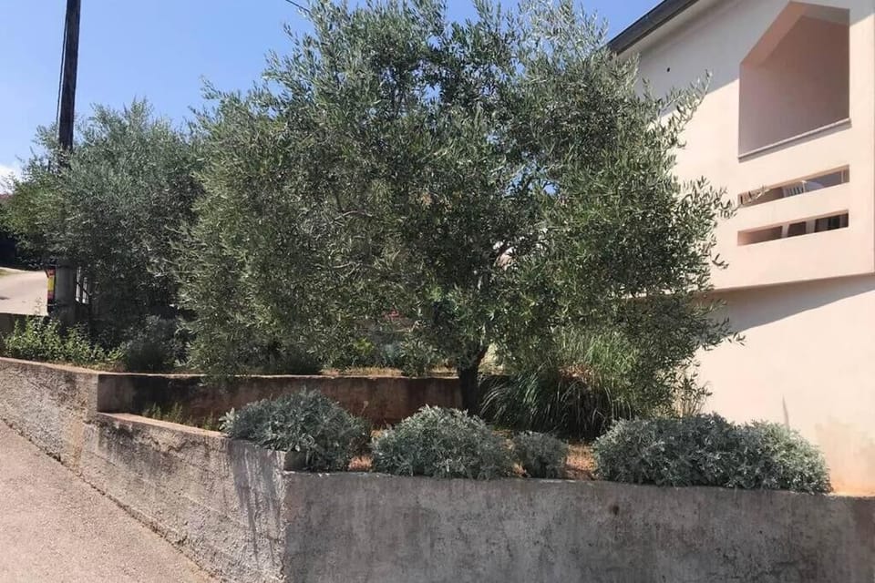 Apartment, 2 Bedrooms, Smoking, Terrace | Property grounds