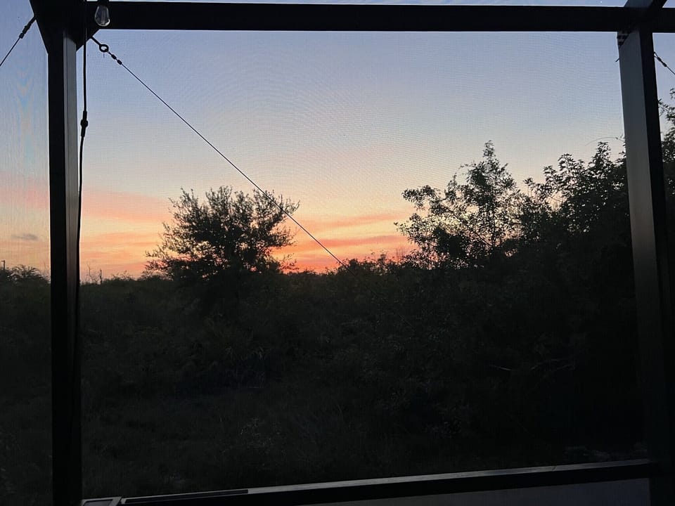 Sunrise from the pool