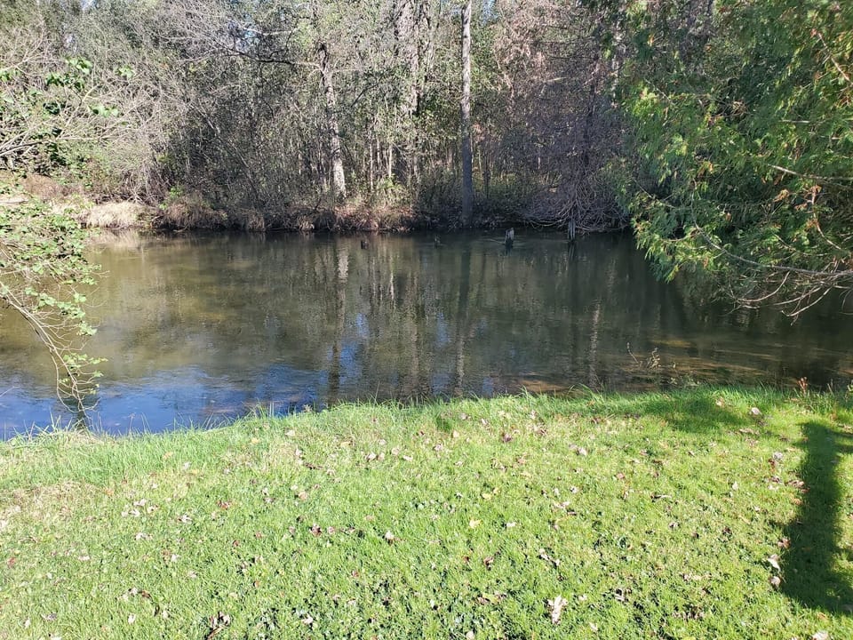 Front yard looking at river