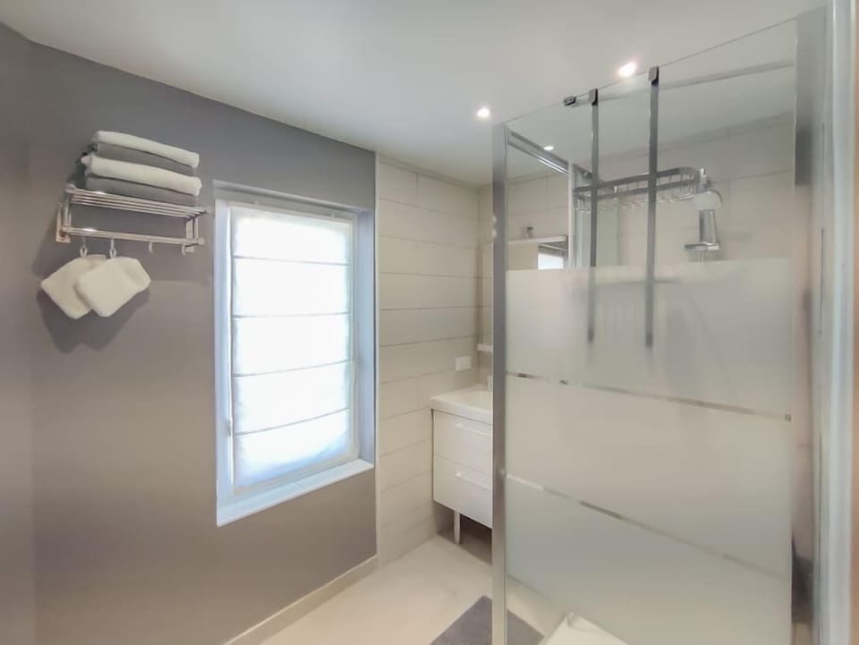 The bathroom with its large format shower. Bath towels are provided