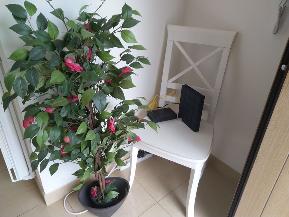 Right next to the entrance door of Quinta Marina is an artificial plant and the internet router.